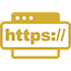 HTTPS Icon
